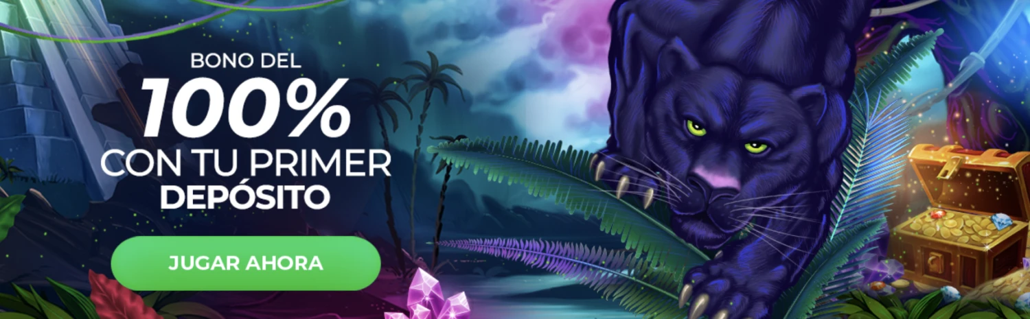 Promotional Banner